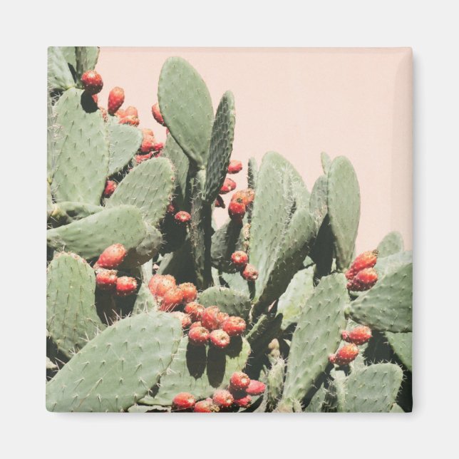 Prickley Pear Cactus Magnet (Front)