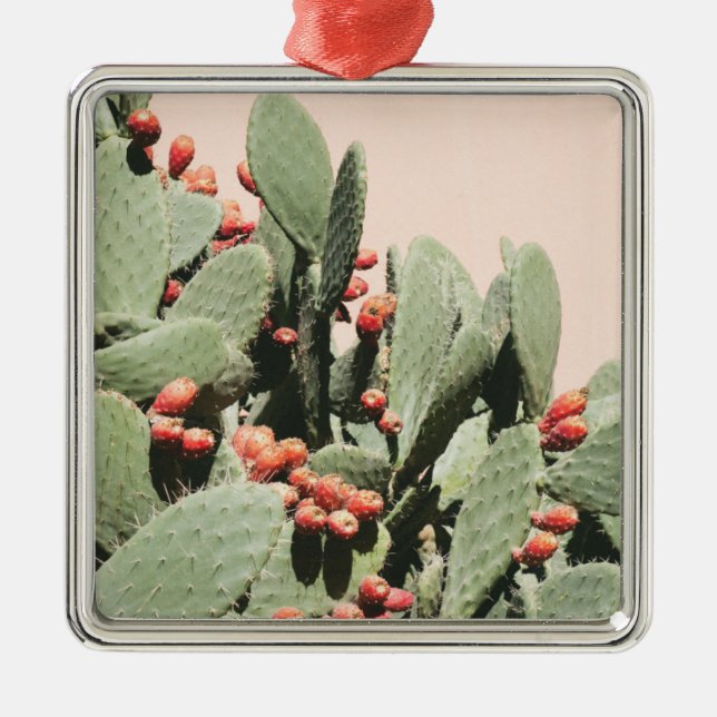 Prickley Pear Cactus Metal Tree Decoration (Front)