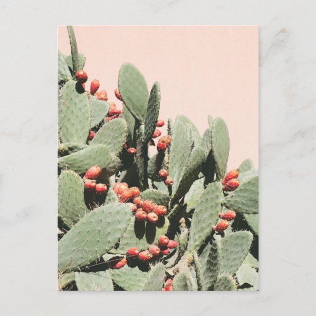 Prickley Pear Cactus Postcard (Front)