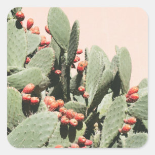 Prickley Pear Cactus Square Sticker