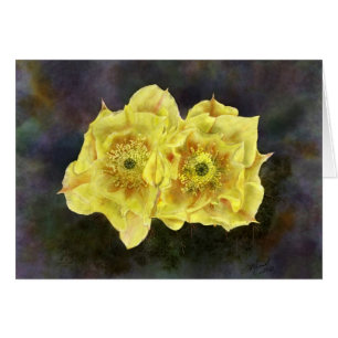 Prickley Pear Flowers