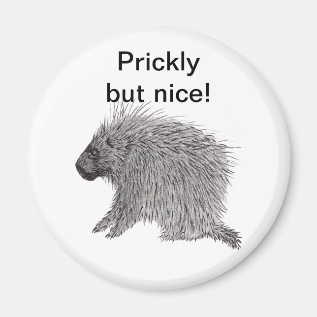 Prickly but Nice Porcupine Magnet (Front)