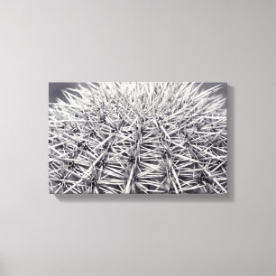 Prickly Cactus Sonoran Desert B&W Photo Art Print