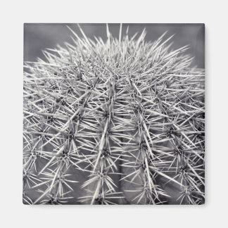 Prickly Cactus Sonoran Desert Refrigerator Magnets