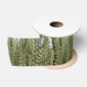 Prickly Green Cactus Plants, Satin Ribbon