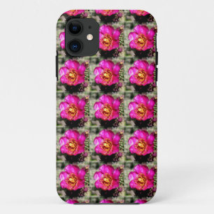 prickly pear blossom case