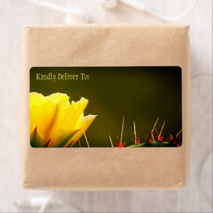 Prickly Pear Cactus Desert Flower / Yellow Green /