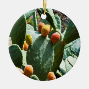Prickly Pear Cactus Fruit Ceramic Tree Decoration