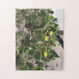 prickly pear cactus jigsaw puzzle