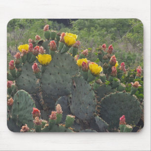Prickly Pear Cactus Mouse Pad