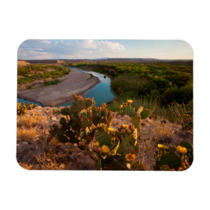 Prickly Pear Cactus (Opuntia Sp.) Magnet