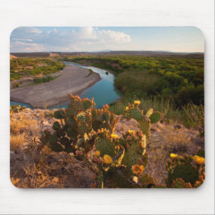 Prickly Pear Cactus (Opuntia Sp.) Mouse Pad