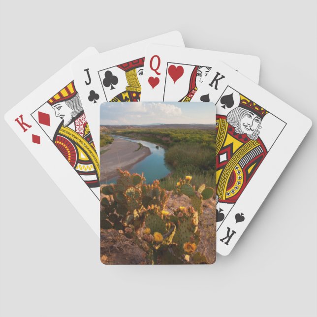 Prickly Pear Cactus (Opuntia Sp.) Playing Cards (Back)