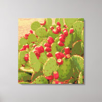 Prickly Pear Cactus Photo Abstract