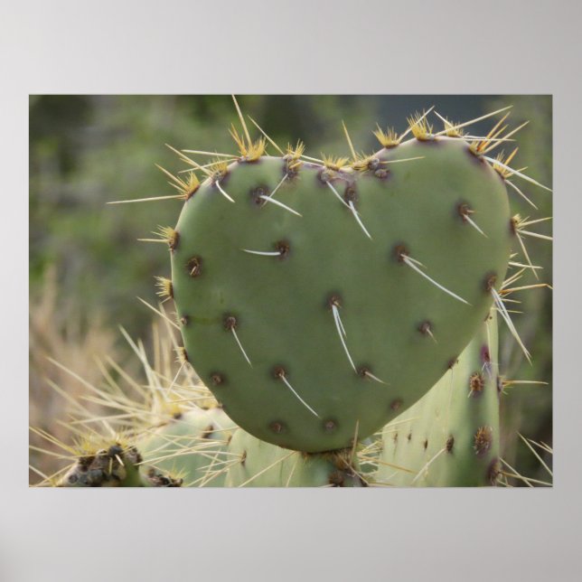Prickly Pear Heart Poster (Front)