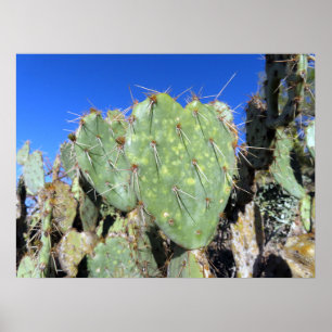 Prickly Pear Hearts Poster