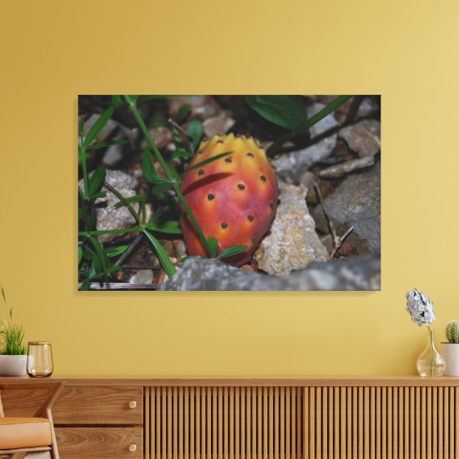 prickly pear on stones canvas print (Insitu(LivingRoom))