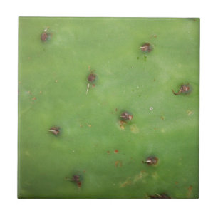 Prickly Pear Pad Tile