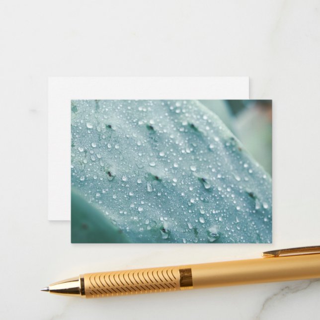 Prickly Pear Texture Pale Green Enclosure Card (Front/Back In Situ)