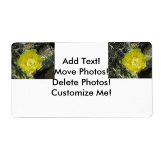 Prickly Pear Yellow Bloom Close