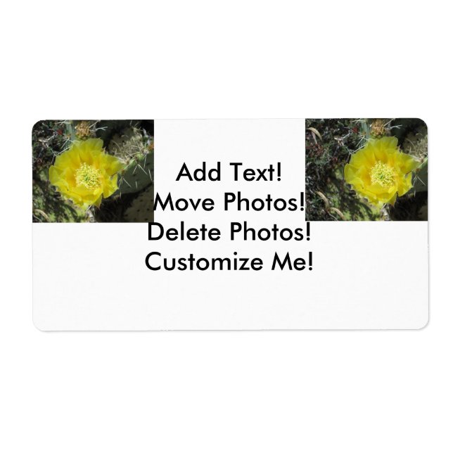 Prickly Pear Yellow Bloom Close (Front)