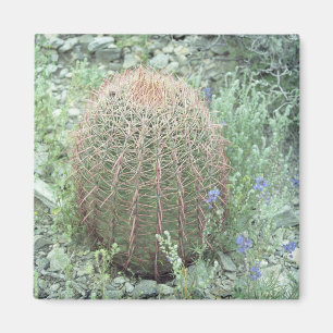 Prickly Pink Petals Cactus Refrigerator Magnet