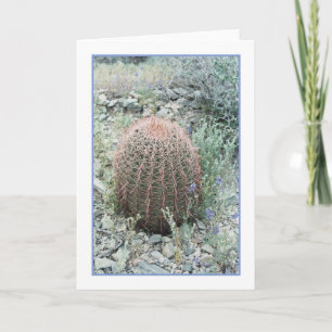 Prickly Pink Petals Greeting Card