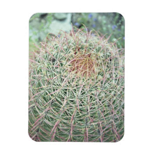 Prickly Pink Swirl Cactus Decorative Fridge Magnet