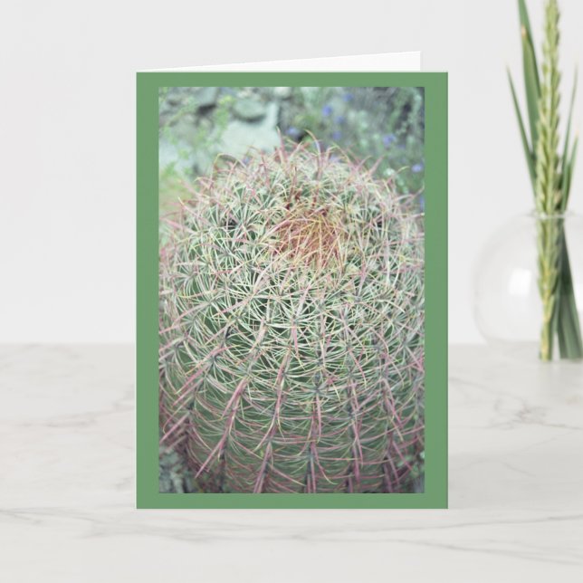 Prickly Pink Swirl Cactus Greeting or Note Cards (Front)