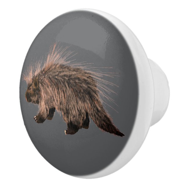 Prickly Porky Ceramic Knob (Right)