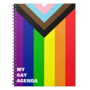 Pride Flag Reboot - trans and POC inclusive Notebook