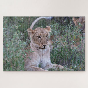 Pride Guardian – Resting Lioness Jigsaw Puzzle