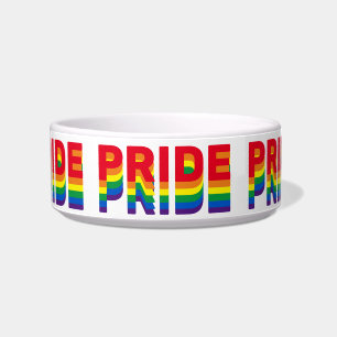 Pride lgbt lgbtq queer gay rainbow retro colours bowl