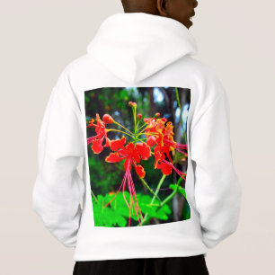 Pride of Barbados