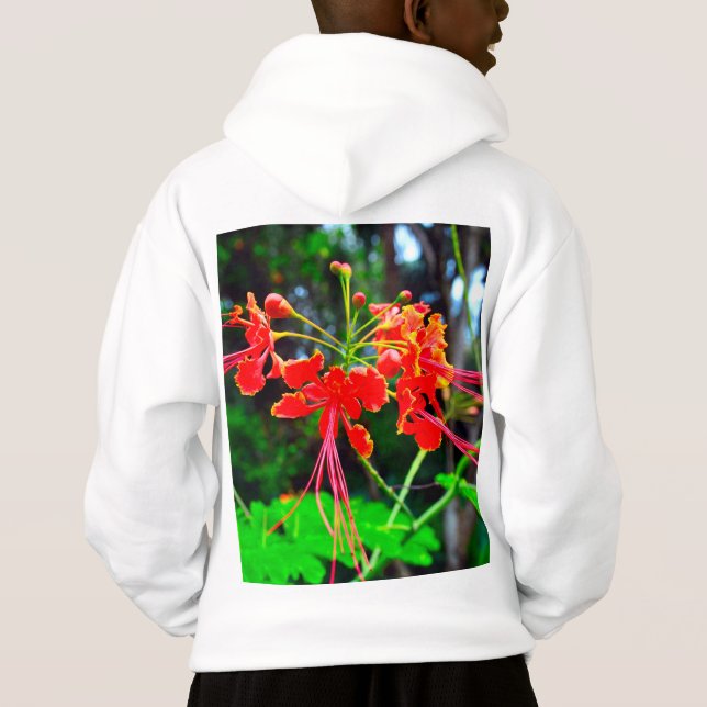 Pride of Barbados   (Back)