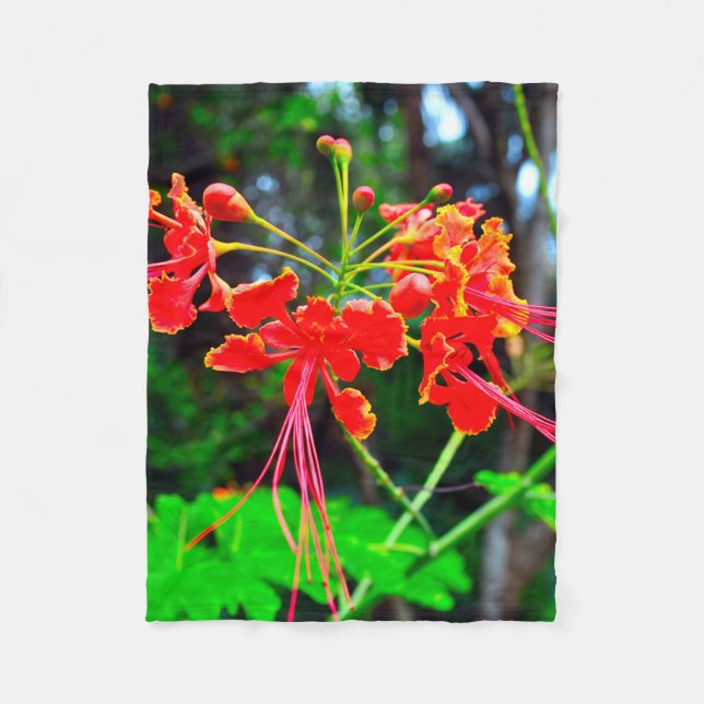 Pride of Barbados   Fleece Blanket (Front)
