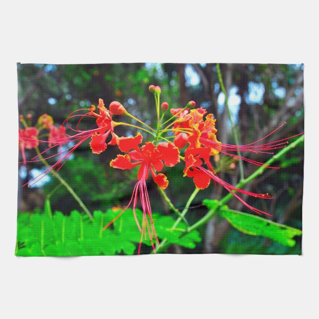 Pride of Barbados   Tea Towel (Horizontal)