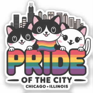 Pride of Chicago City Illinois USA Rainbow Flag