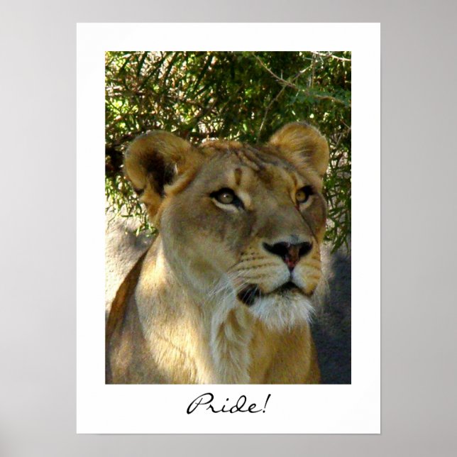 Pride! Poster (Front)