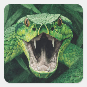 Primal Power 008 – Snake Square Sticker