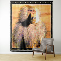 Primate Models: Hamadryas baboon 01