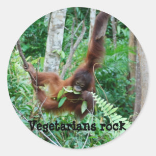 Primate Vegetarians Rock ! Classic Round Sticker