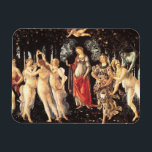 Primavera / Allegory of Spring by Botticelli Magnet<br><div class="desc">Primavera by Sandro Botticelli (c. 1482) currently housed in the Uffizi Gallery in Florence was painted for the powerful Medici family and was displayed in their palace.</div>