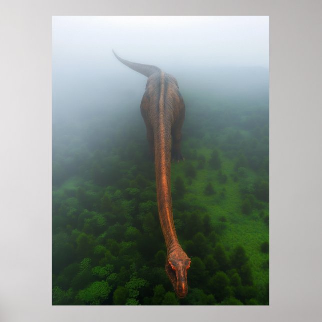 Primeval Forest Aerial Photography Poster (Front)