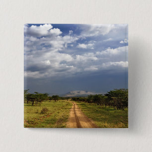 Primitive dirt road across the northern 15 cm square badge