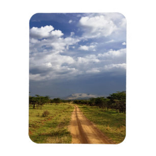 Primitive dirt road across the northern magnet
