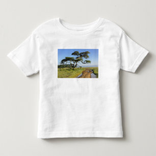Primitive dirt road and acacia tree, Lake Nakuru Toddler T-Shirt