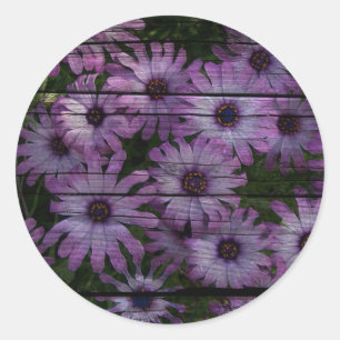 Primitive Western Country Barn Board purple daisy Classic Round Sticker