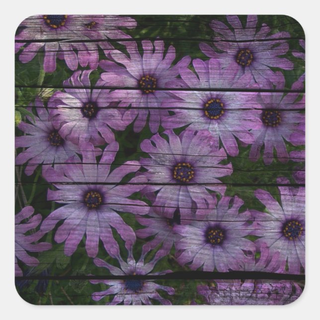 Primitive Western Country Barn plank purple daisy Square Sticker (Front)