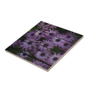 Primitive Western Country Barn plank purple daisy Tile